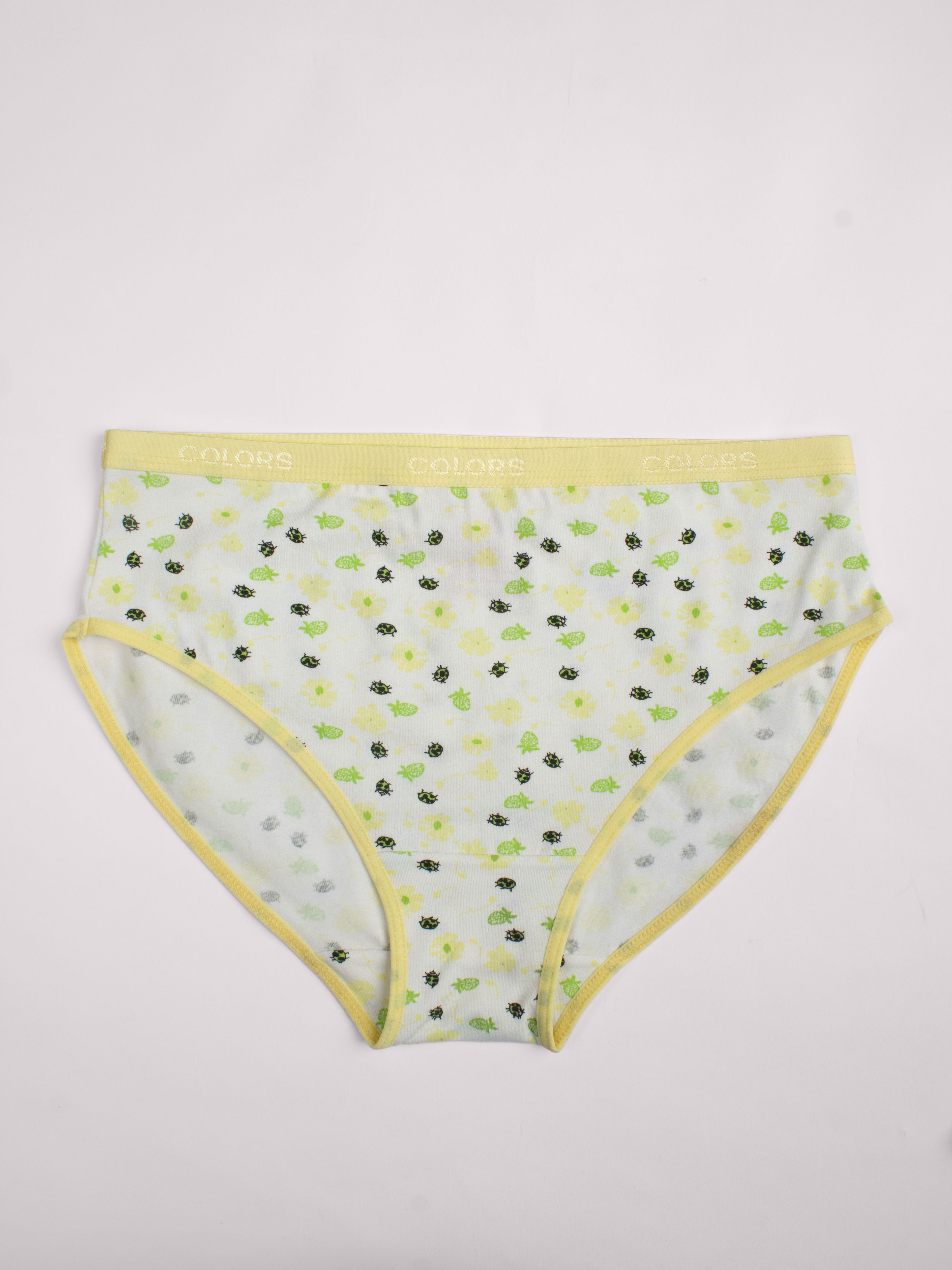 Printed Brief - Pack of 3