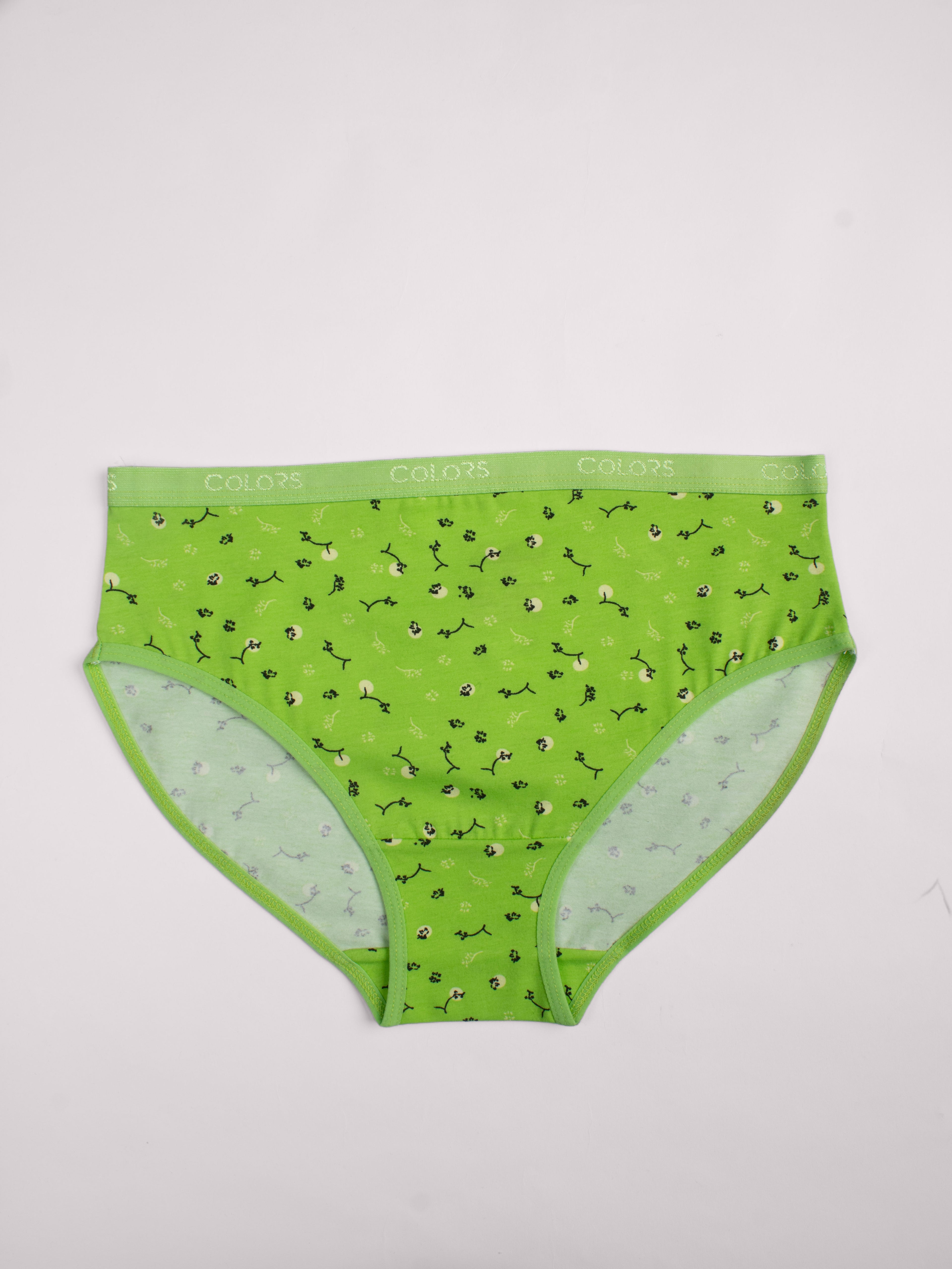 Printed Brief - Pack of 3