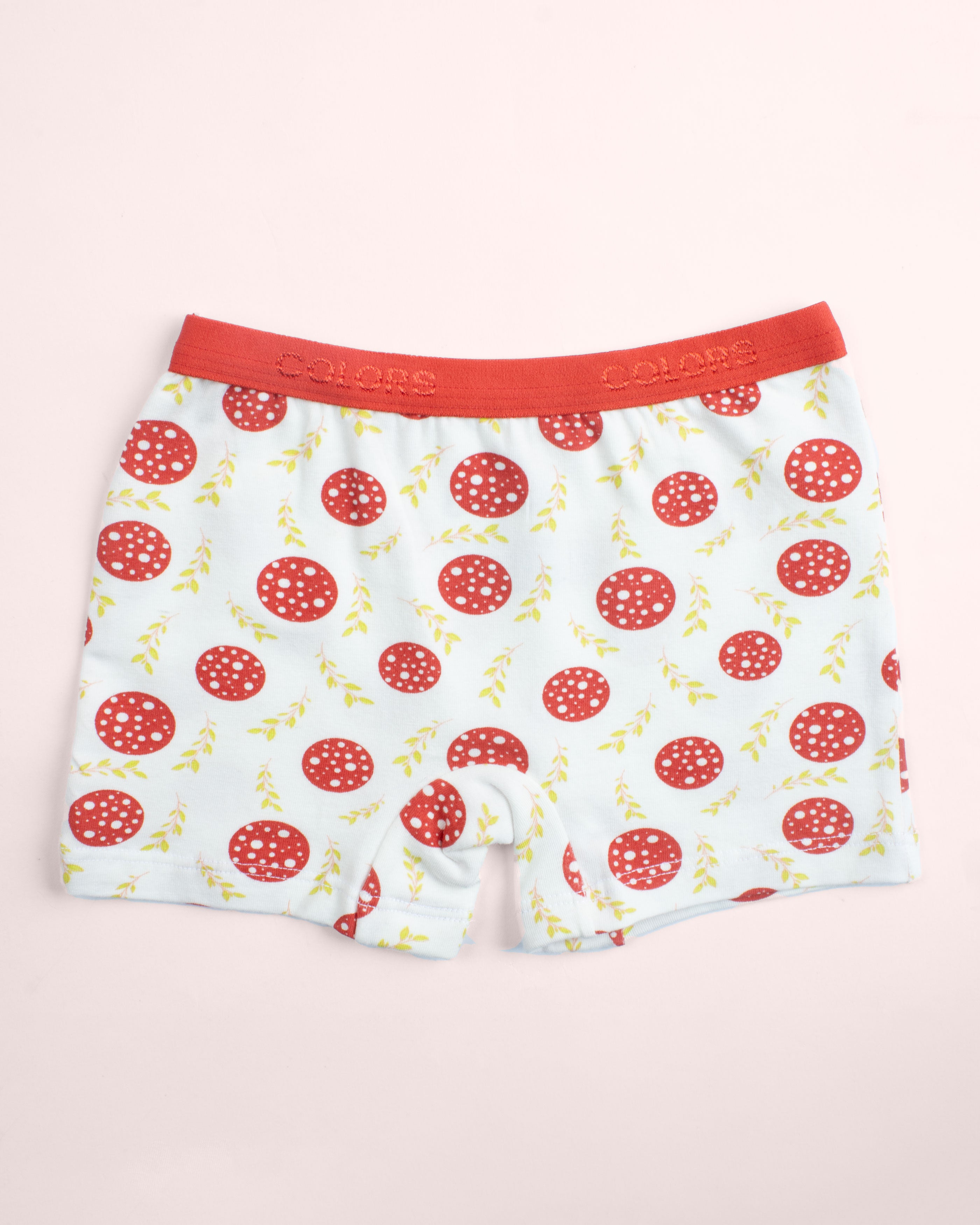 Girls Hot Short | Pack of - 2