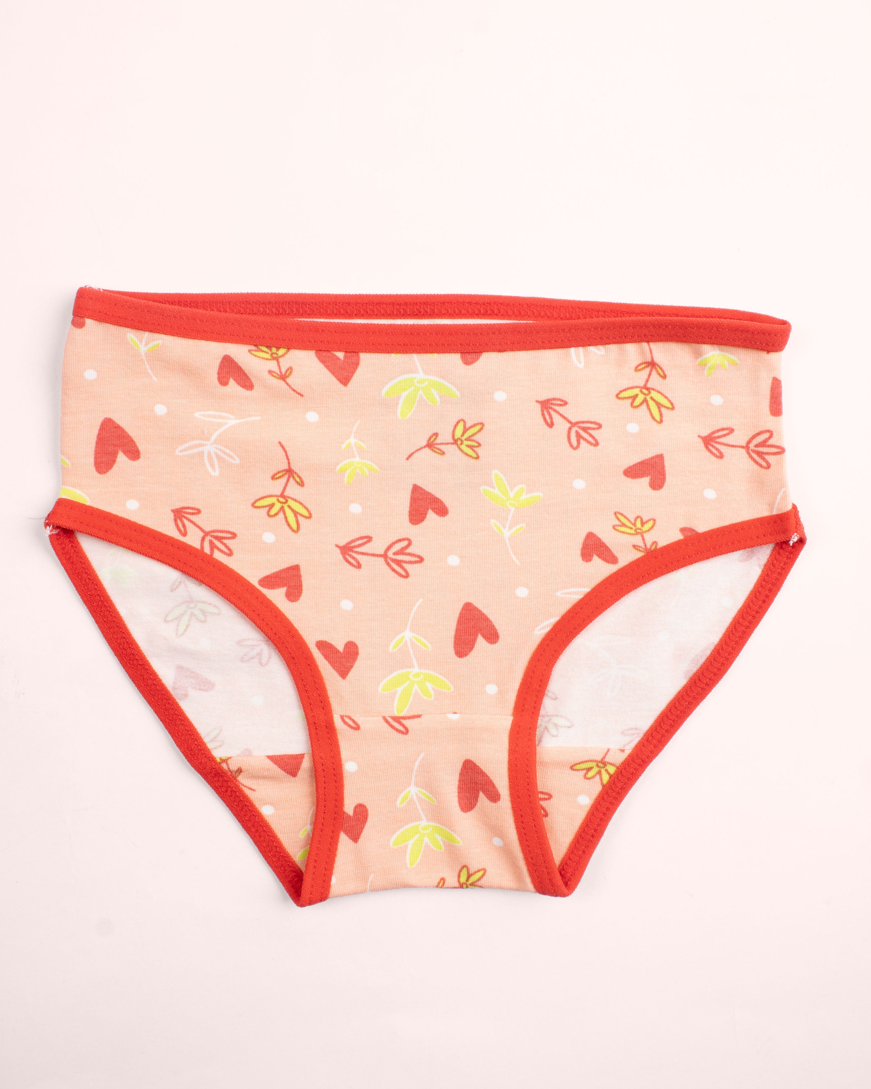 Girls Printed Brief |  Pack of - 3
